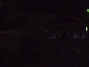 p6090298_thumb.png