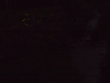 p6090301_thumb.png