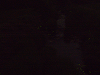 p6090303_thumb.png
