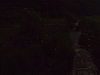 p6090311_thumb.png