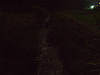 p6090318_thumb.png